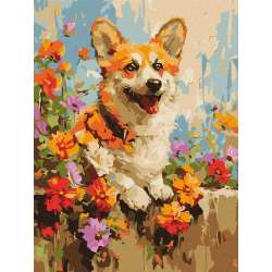 Malowanie po numerach - Corgi w kwiatach 30x40cm - 1