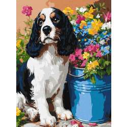 Malowanie po numerach - Uroczy spaniel 30x40cm - 1
