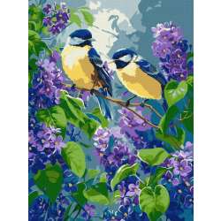 Malowanie po numerach - Wiosenny duet 30x40cm