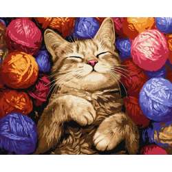 Malowanie po numerach - Kot w plątaninie 40x50cm - 1