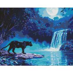 Diamentowa mozaika - Nocny drapieżnik 40x50cm