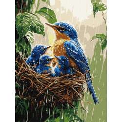 Malowanie po numerach - Wiosenny deszcz 30x40cm