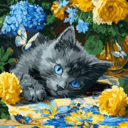 Malowanie po numerach - Błękitnookie kocię 40x40cm