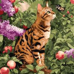 Malowanie po numerach - Kot bengalski 40x40cm