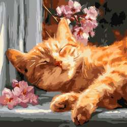 Malowanie po numerach - Rudy kot na parapecie