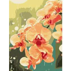 Malowanie po numerach - Orchidea w kroplach 30x40