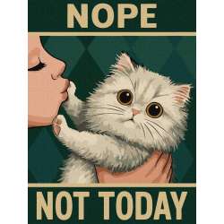 Malowanie po numerach - Plakat. Nie dzisiaj 30x40