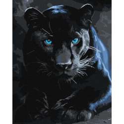 Malowanie po numerach - Dzika pantera 40x50cm