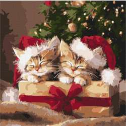 Malowanie po numerach - Puszyste prezenty 40x40cm