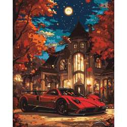 Malowanie po numerach - Życie w luksusie 40x50cm