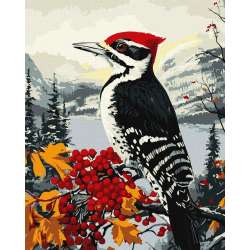 Malowanie po numerach - Dzięcioł na gałęzi 40x50cm