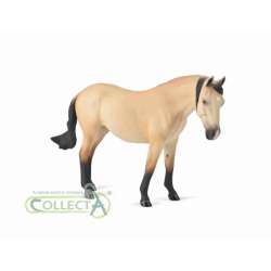 Klacz Lusitano maści buttermilk buckskin Deluxe