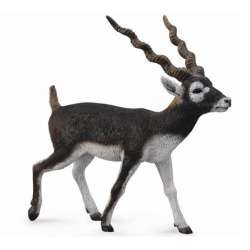 CollectA 88638 Antylopa blackbuck rozmiar:L (004-88638) - 2