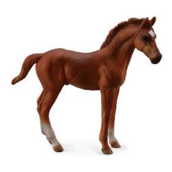 COLLECTA 88671 Źrebię Thoroughbred Chesnut stojące roz:M (004-88671) - 2