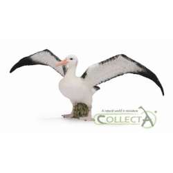 CollectA 88765 Albatros wędrowny, rozmiar: L (004-88765) - 3