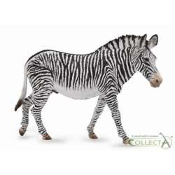 CollectA 88773 Zebra Grevy'ego, rozmiar: XL (004-88773) - 2