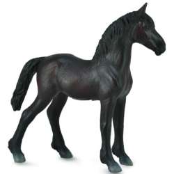 CollectA 88815 źrebię Friesian rozmiar:M (004-88815) - 2