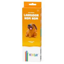 Hey Clay. Masa plastyczna - labrador - 1