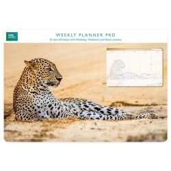 Planer tygodniowy Leopard in sand - 1