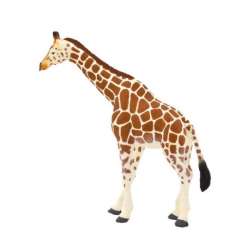 ANIMAL PLANET 7006 Żyrafa rozmiar: XL (GXP-522295) - 1
