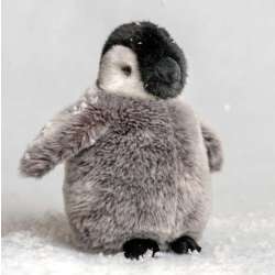 Pluszowy pingwin - 1