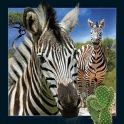 Magnes 3D Zebra - 1