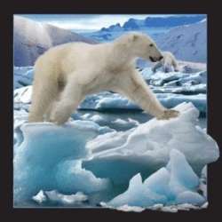 Magnes 3D Niedźwiedź Polarny w skoku