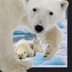 Magnes 3D Niedźwiedź polarny z młodym