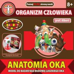 PROF.ALBERT -ANATOMIA OKA -ORGANIZM CZŁOWIEKA (00204) - 3