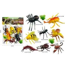 Insekty