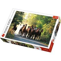 PUZZLE TREFL 1000 OGIERY W LESIE (10168) - 3