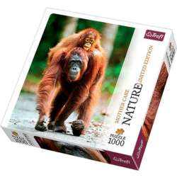 Puzzle 1000el Nature limited edition Mother Orangutan Indonezja 10514 Trefl (10514 TREFL) - 1
