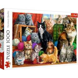 Puzzle 1000el Kocie spotkanie 10555 Trefl (10555 TREFL) - 1