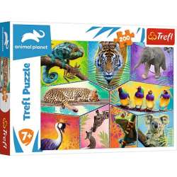 Puzzle 200el W egzotycznym świecie. Discovery Animal Planet 13280 Trefl p12 (13280 TREFL) - 1