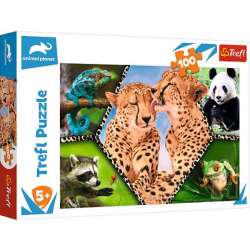Puzzle Trefl 100 Piękno natury Animal Planet (16424 TREFL)