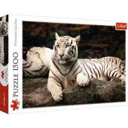Bengalski tygrys - Puzzle TREFL 1500 elementów (26075) - 3