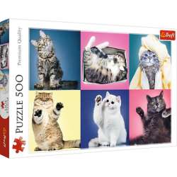 Puzzle Trefl 500 Kociaki (37377 TREFL) - 1