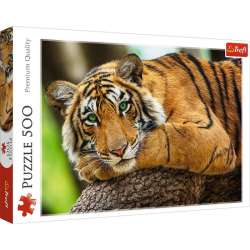 Puzzle 500 elementów Portret tygrysa (GXP-759837) - 1