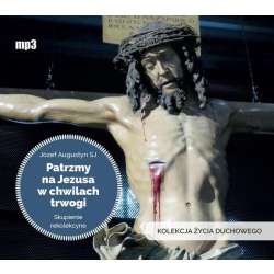 Patrzmy na Jezusa w chwilach trwogi audiobook