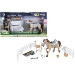Konik z akcesoriami 586079 (3/586079)
