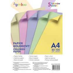 Papier kolorowy A4 5 kolorów 100szt (14110115-99)