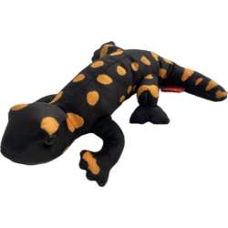 Salamandra plamista 20cm