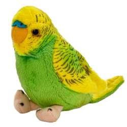Papuga falista zielona 13 cm PP (13728 BEPPE)