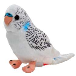 Maskotka Papuga falista biała 13cm 13846 (13846 BEPPE)
