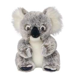 Koala australijski 25cm - 1