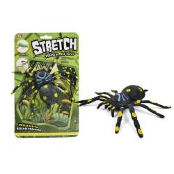 Pająk rozciągliwy - 1
