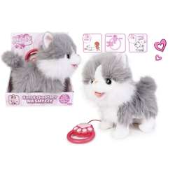 Kot chodzący na smyczy biało szary