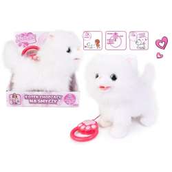 Kot chodzący na smyczy