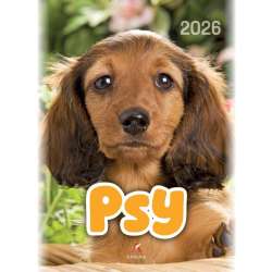 Kalendarz 2026 wieloplanszowy B4 Psy - 1