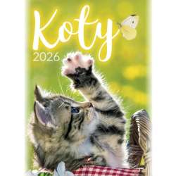 Kalendarz 2026 wieloplanszowy B4 Koty - 1